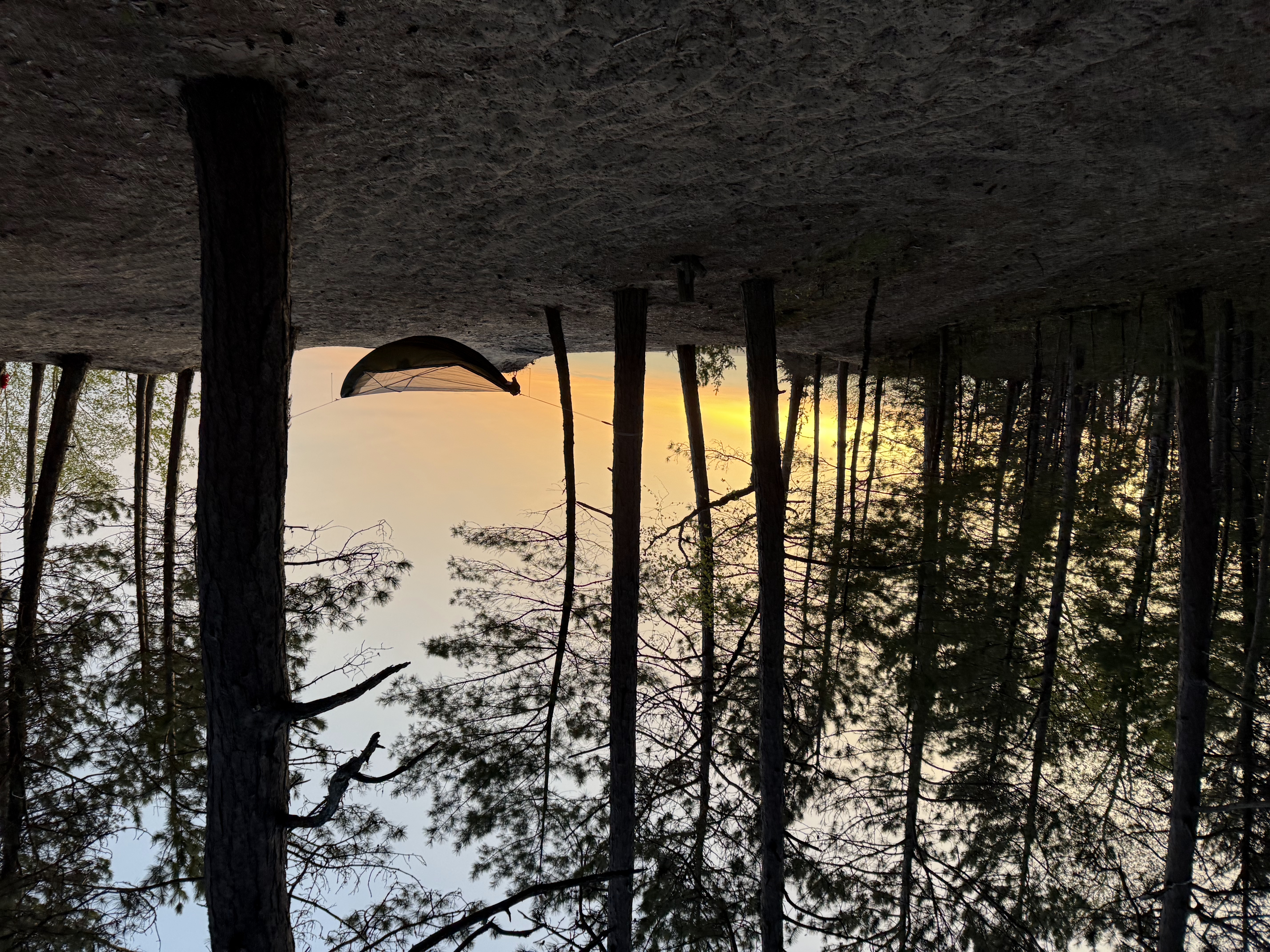 FGSO early meetings at MSU