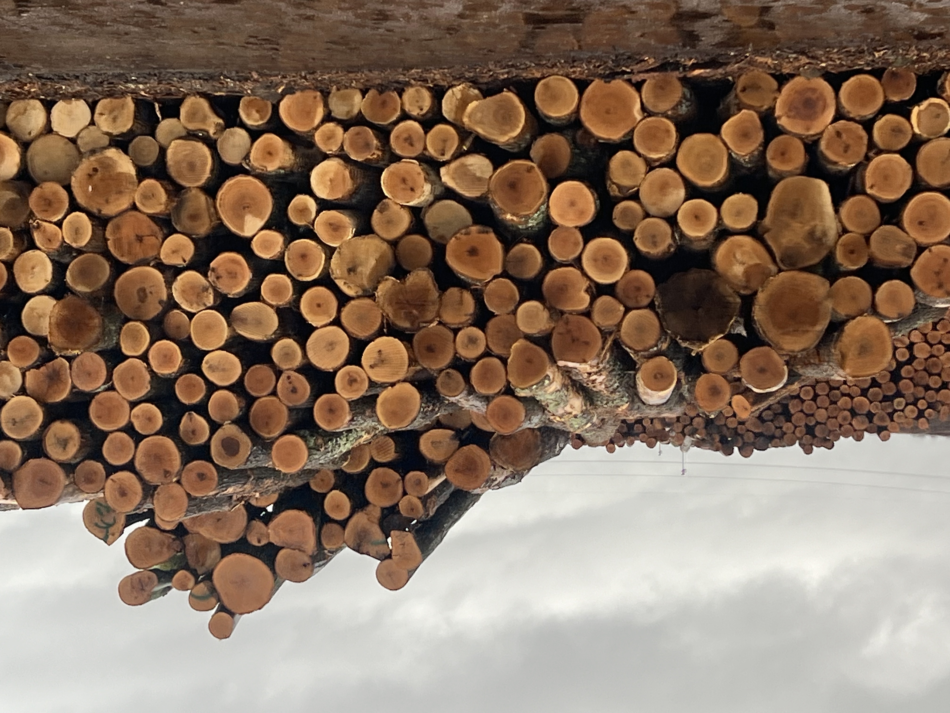 Coffee cups on a table