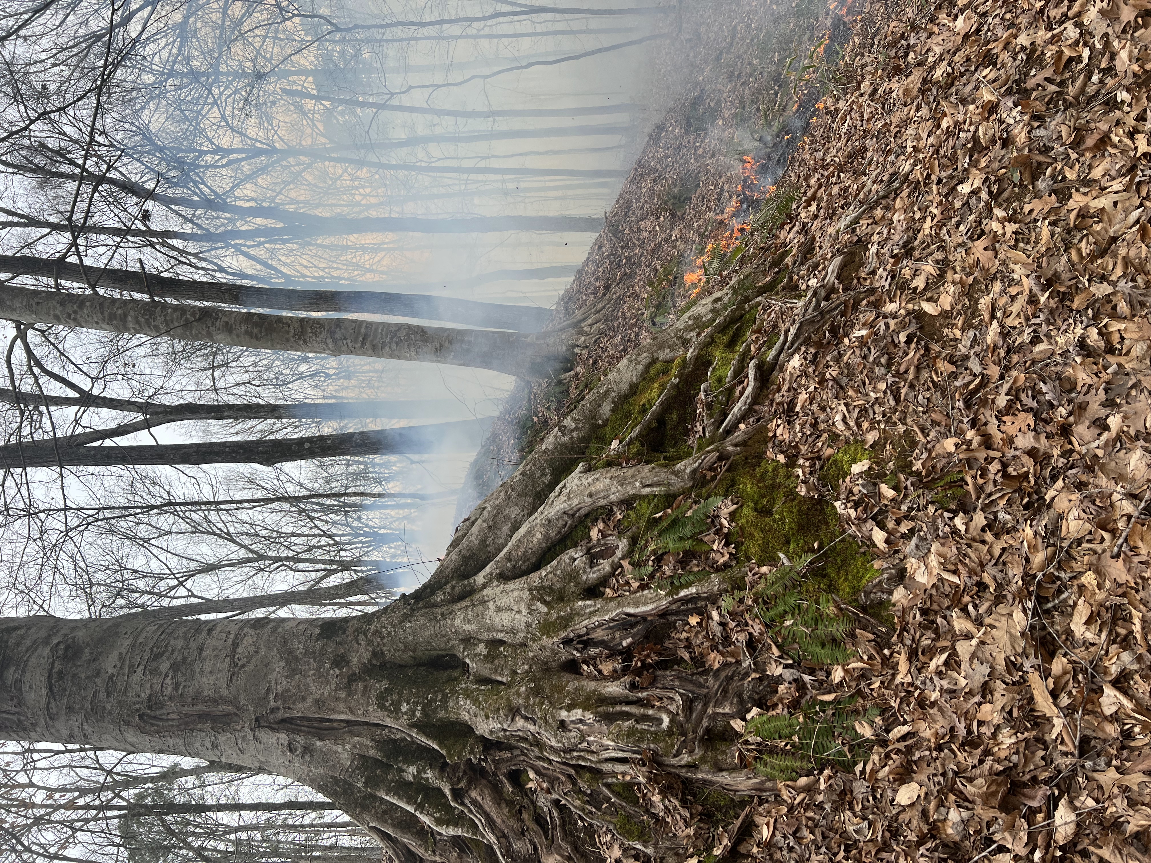 Forestry grad students at a social event