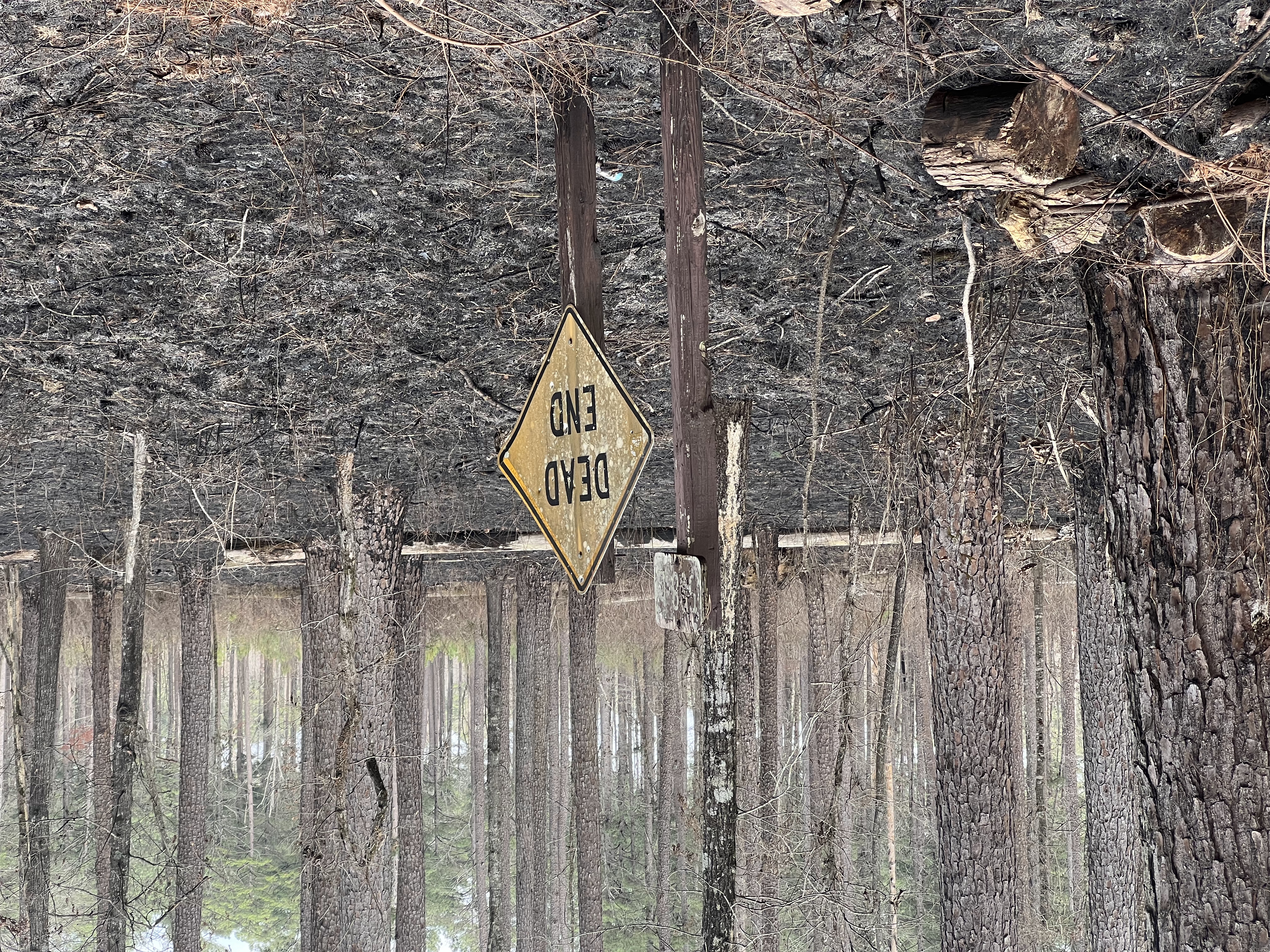 Student leadership and service